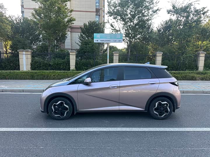 Фото 5 - BYD Dolphin