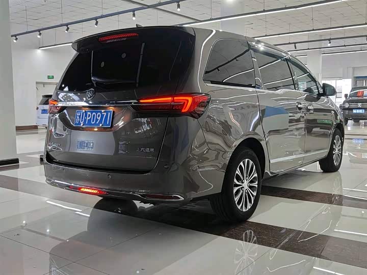 Фото 5 - Buick GL8 ES