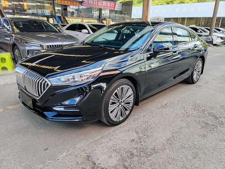 Фото 1 - Hongqi H5