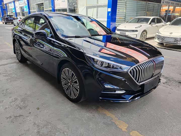 Фото 6 - Hongqi H5