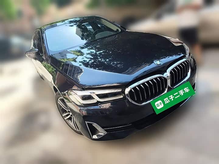 Фото 26 - BMW 5 Series Hybrid