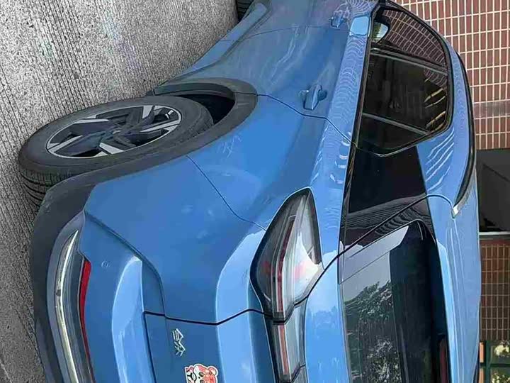 Фото 8 - Hozon X