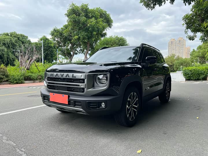 Фото 1 - Haval Dargo