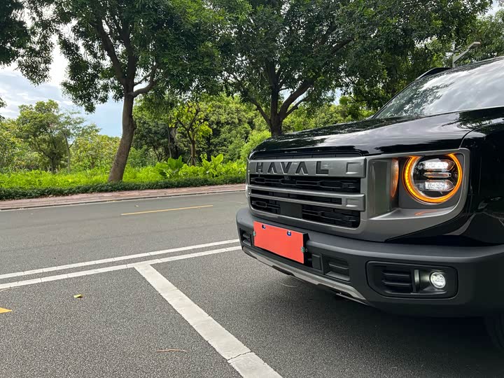 Фото 39 - Haval Dargo