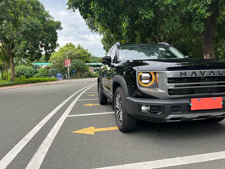 Фото 40 - Haval Dargo