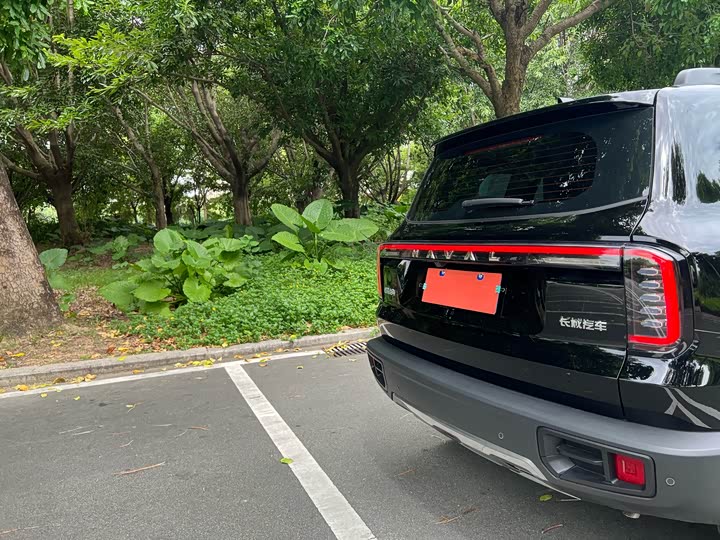 Фото 41 - Haval Dargo