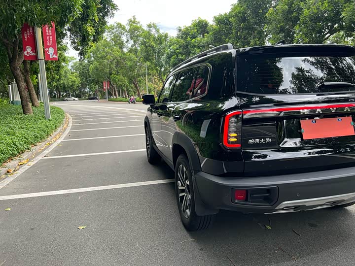 Фото 42 - Haval Dargo