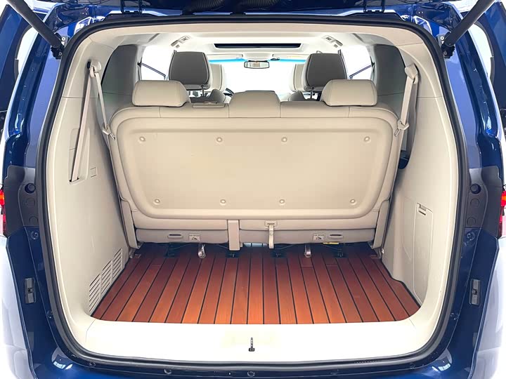 Фото 6 - Buick GL8 ES