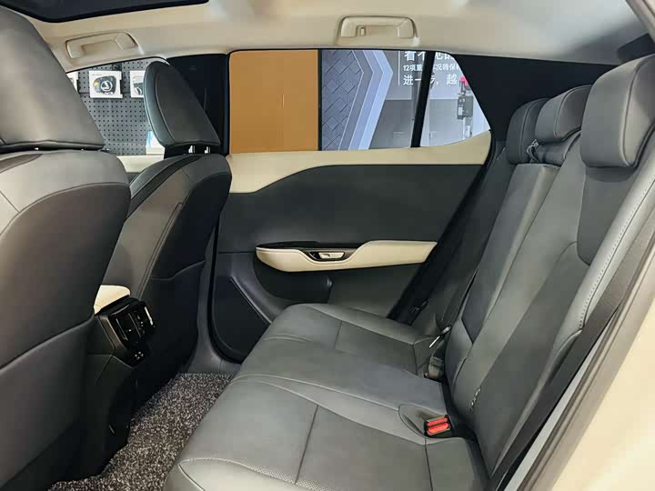 Фото 6 - Lexus RZ