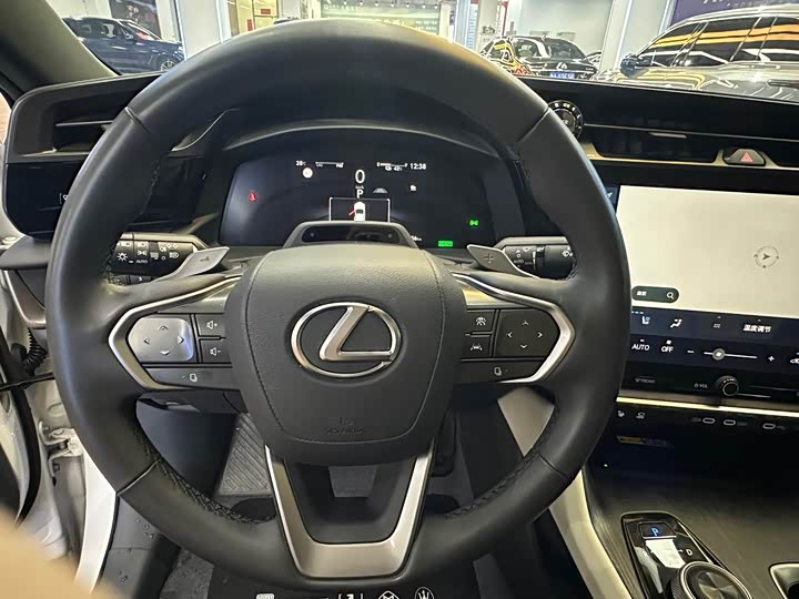 Фото 14 - Lexus RZ