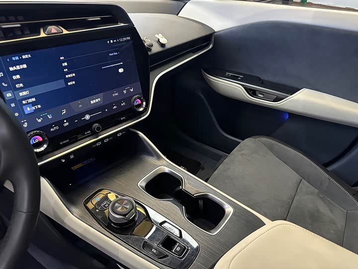 Фото 20 - Lexus RZ