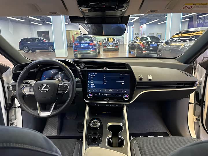 Фото 24 - Lexus RZ