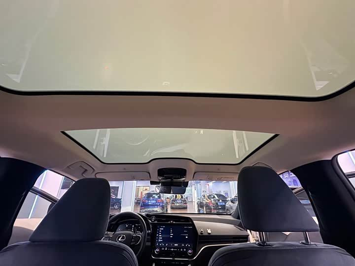 Фото 25 - Lexus RZ