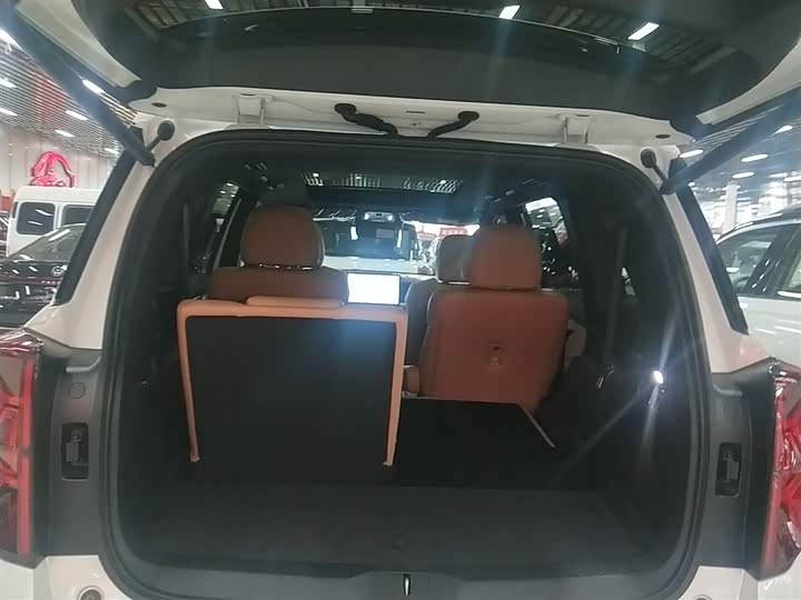 Фото 19 - GAC Trumpchi ES9