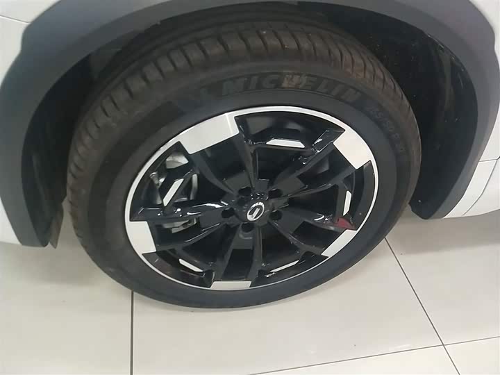 Фото 23 - GAC Trumpchi ES9