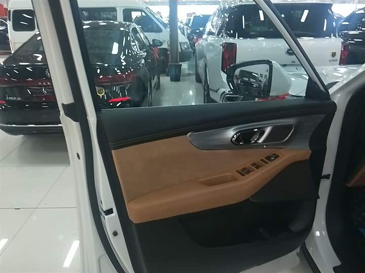 Фото 28 - GAC Trumpchi ES9