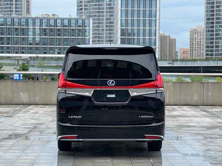 Фото 7 - Lexus LM