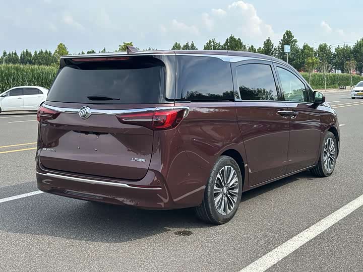 Фото 7 - Buick GL8 ES