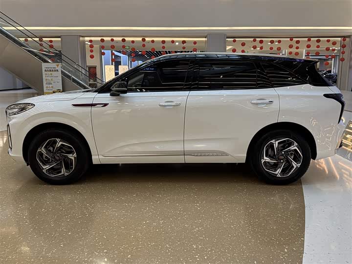 Фото 4 - Hongqi HS3