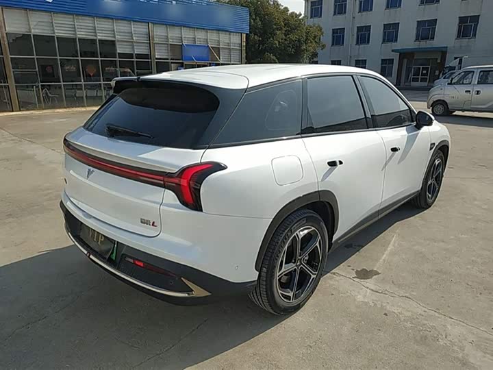 Фото 10 - Hozon L