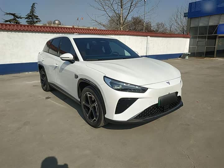 Фото 7 - Hozon L