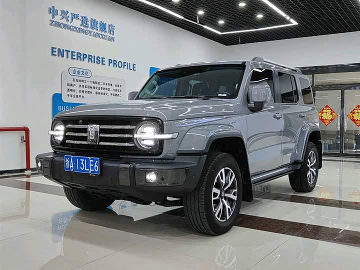 Фото 1 - Tank 300