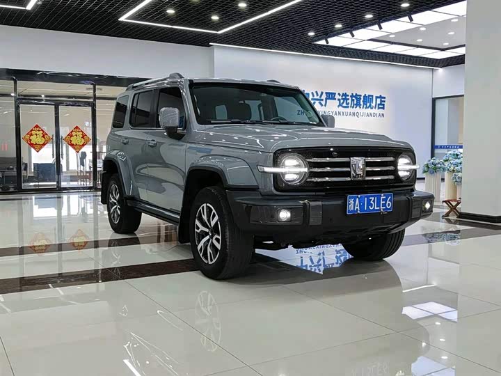 Фото 4 - Tank 300