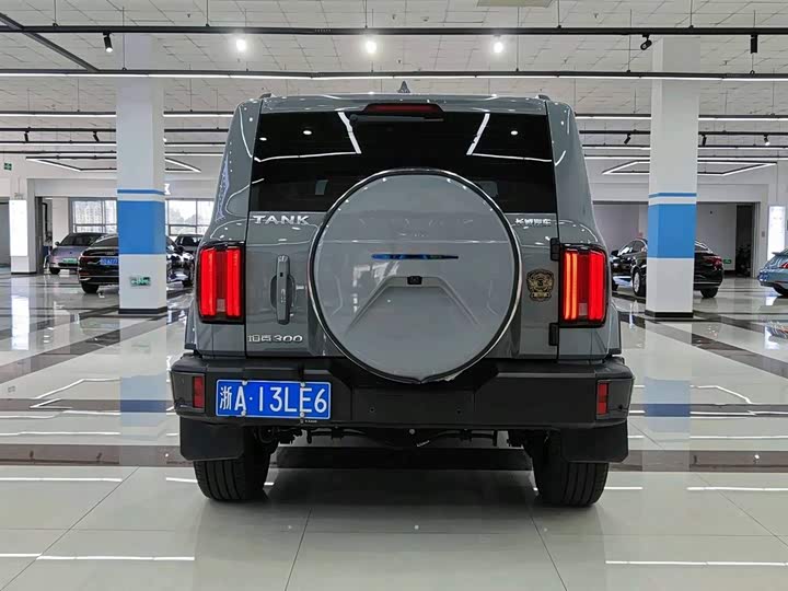 Фото 6 - Tank 300