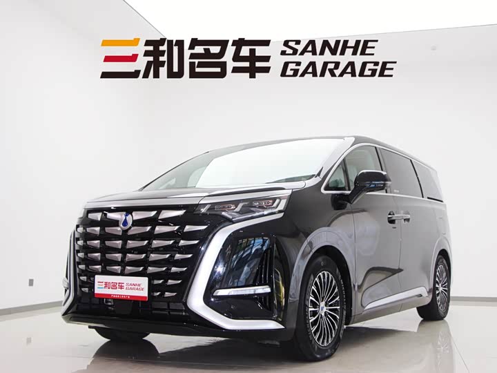 Фото 1 - Denza D9