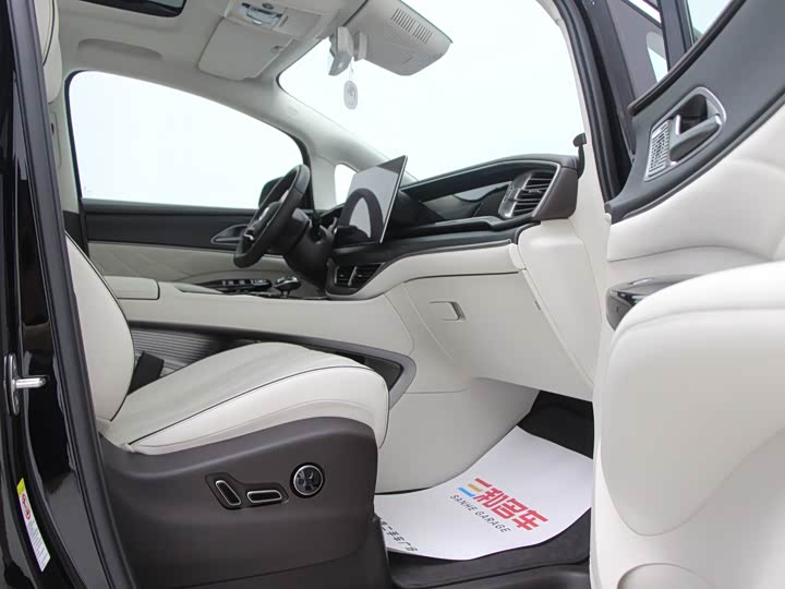 Фото 10 - Denza D9