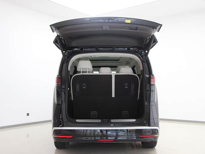 Фото 14 - Denza D9