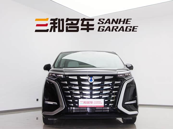 Фото 2 - Denza D9