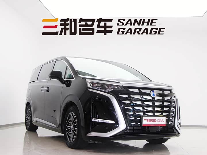 Фото 3 - Denza D9