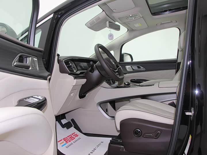 Фото 8 - Denza D9