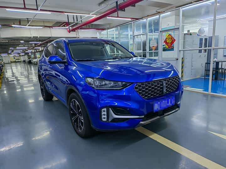 Фото 3 - Wey VV6