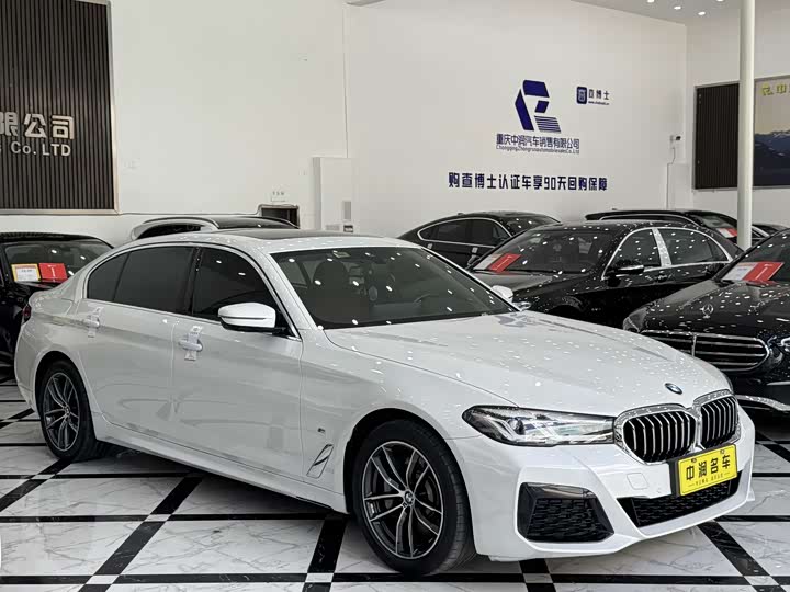 Фото 13 - BMW 5 Series Hybrid