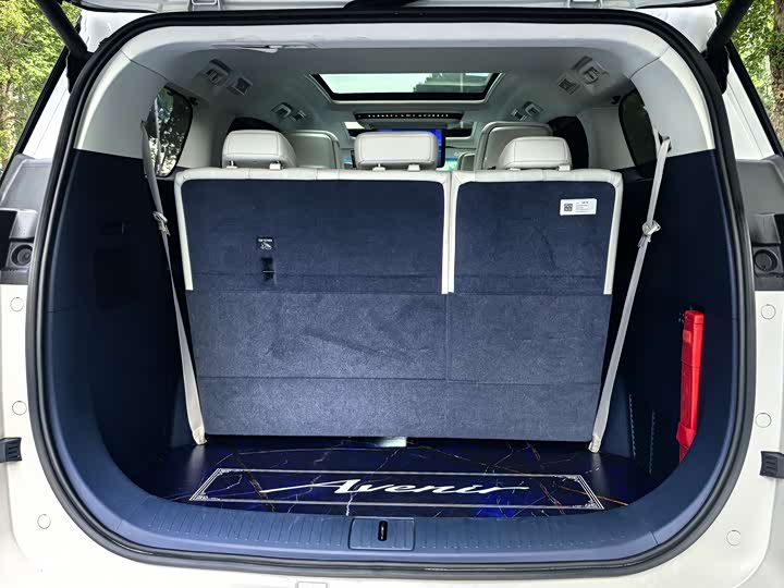 Фото 29 - Buick GL8 Hybrid