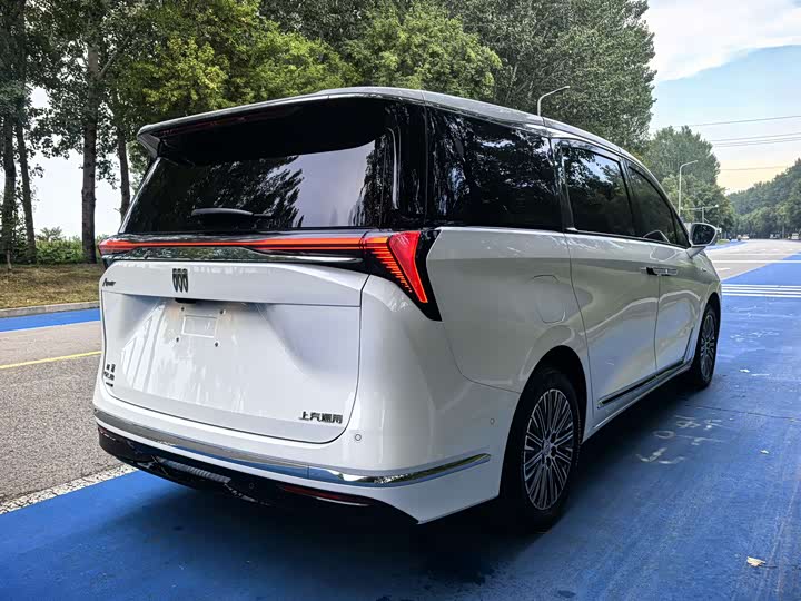 Фото 6 - Buick GL8 Hybrid