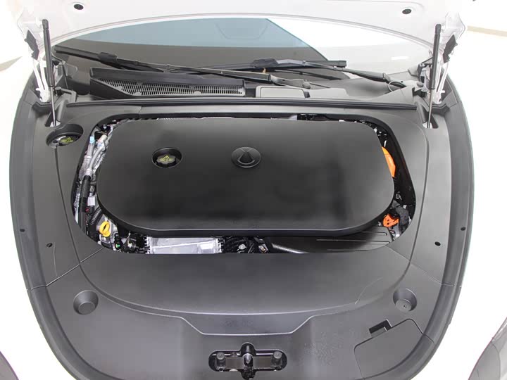 Фото 14 - Denza Z9