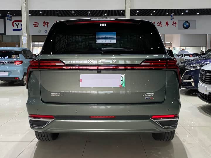 Фото 5 - Wey Lanshan