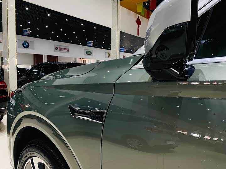 Фото 6 - Wey Lanshan