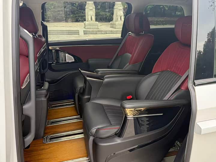 Фото 11 - GAC Trumpchi E9