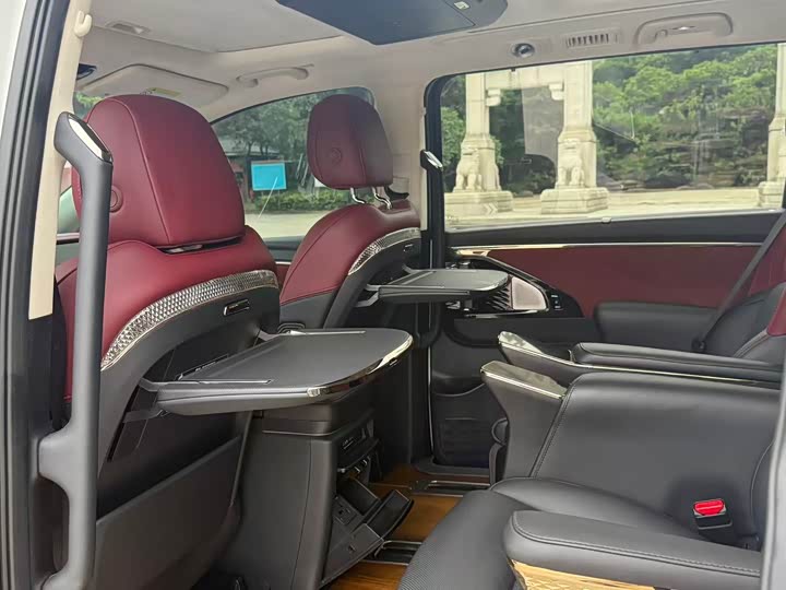 Фото 19 - GAC Trumpchi E9