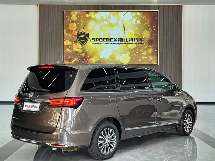 Фото 18 - Buick GL8 ES