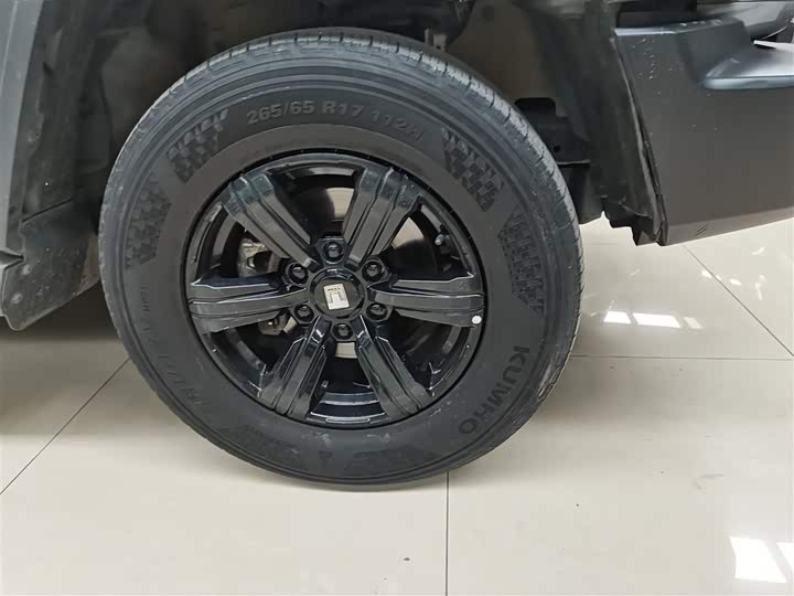 Фото 12 - Tank 300