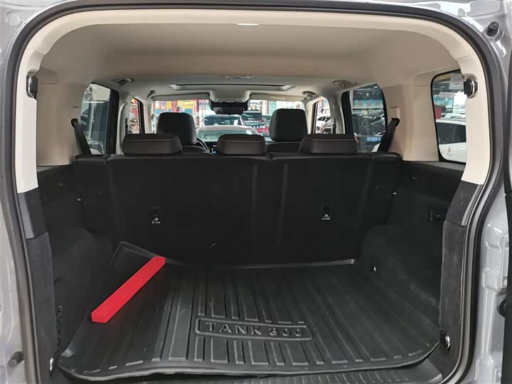 Фото 2 - Tank 300