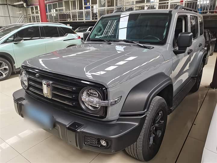 Фото 3 - Tank 300