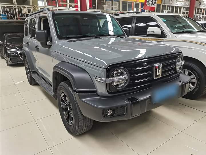 Фото 8 - Tank 300