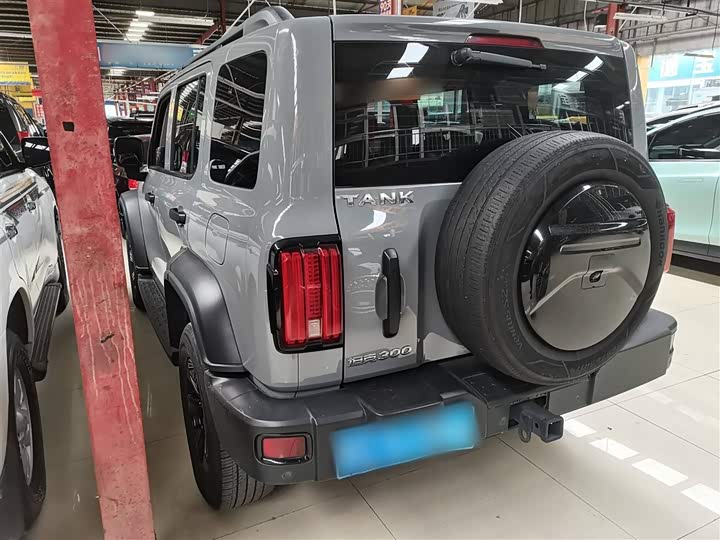 Фото 9 - Tank 300