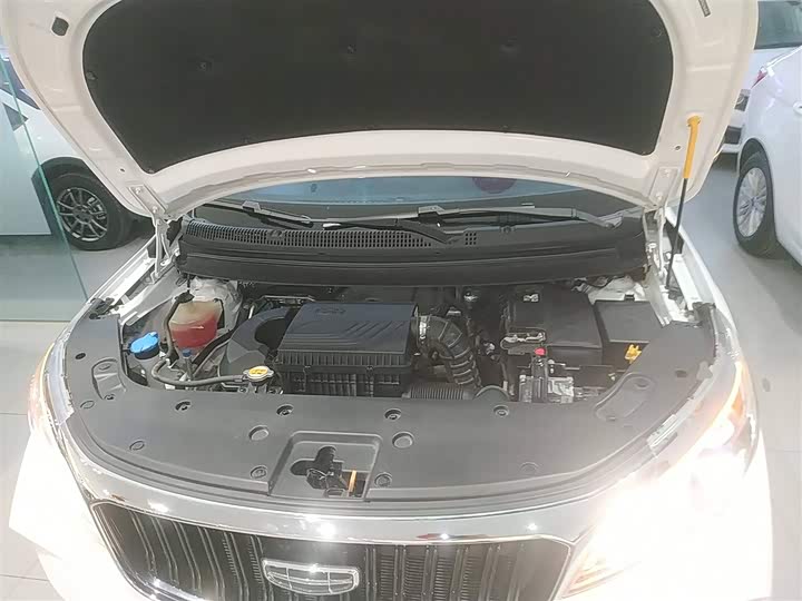 Фото 20 - Geely Vision X3